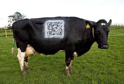 digital-daisy-the-cow-with-bar-code-l-pykox1